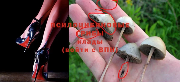дмт Лабытнанги