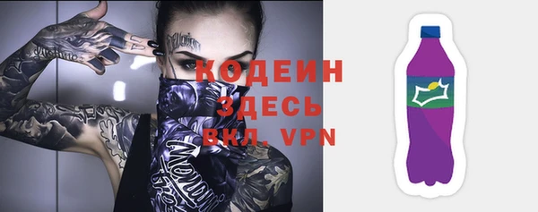 дмт Лабытнанги