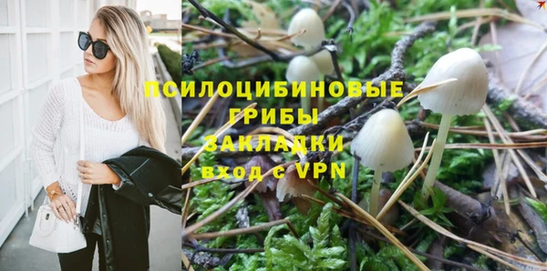 дмт Лабытнанги