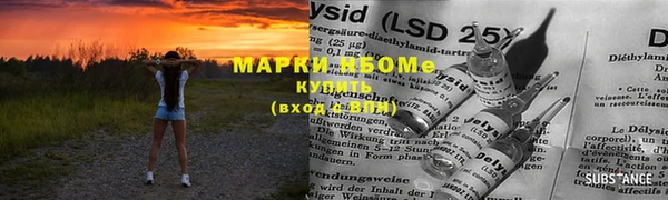 дмт Лабытнанги