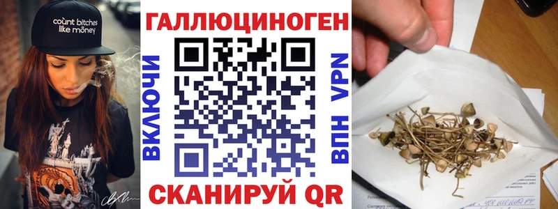 Галлюциногенные грибы Psilocybine cubensis  Купить где  Солигалич 