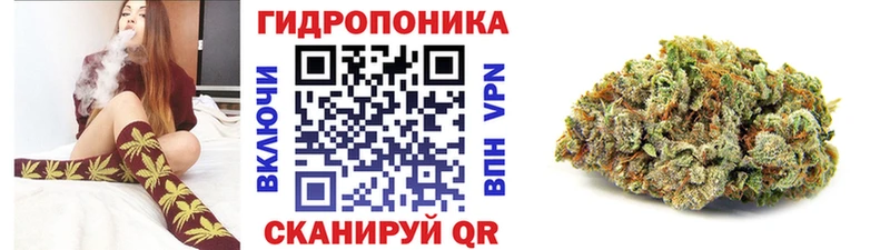 Бошки Шишки конопля  Купить закладки  Солигалич 